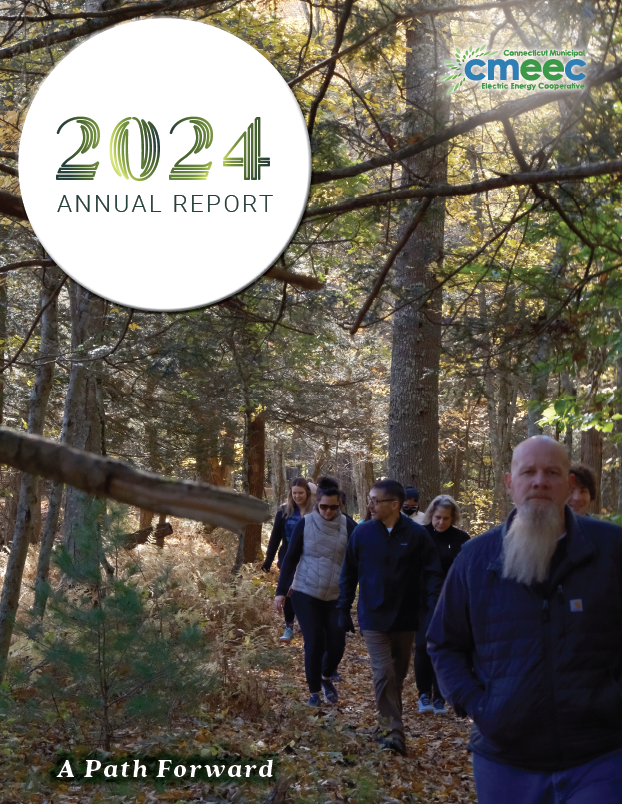 2024 Annual Report Cover Screenshot